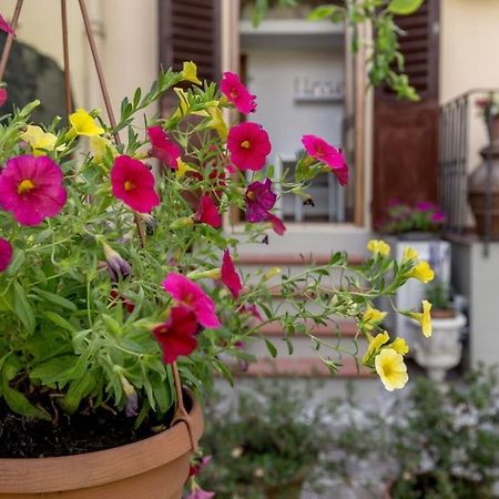 Loft Azalea Garden Wifi Air Conditioning Florence Extérieur photo